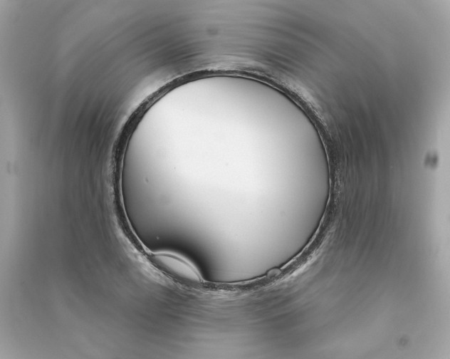 X0000090771122200708101804