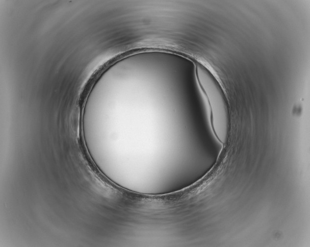 X0000090771123200708101804