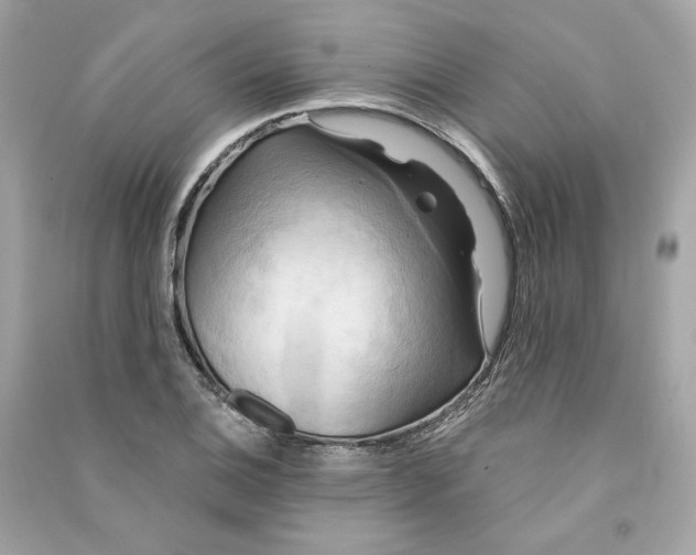 X0000090771124200708101804
