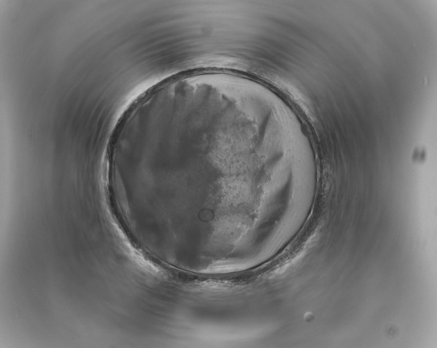 X0000090771125200708101804