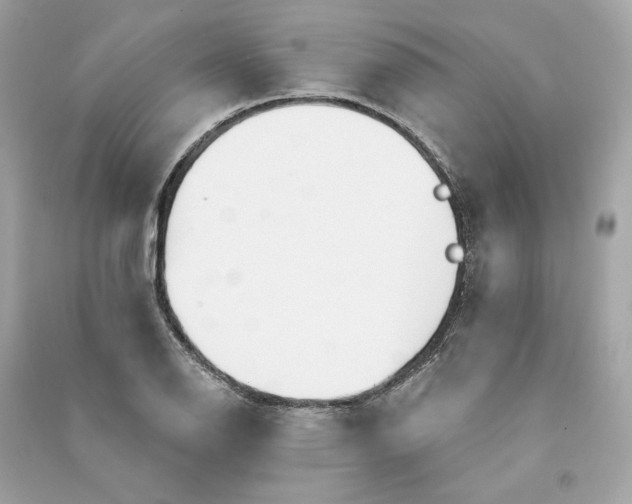 X0000090771126200708101804