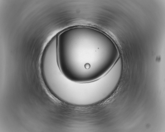 X0000090771128200708101804