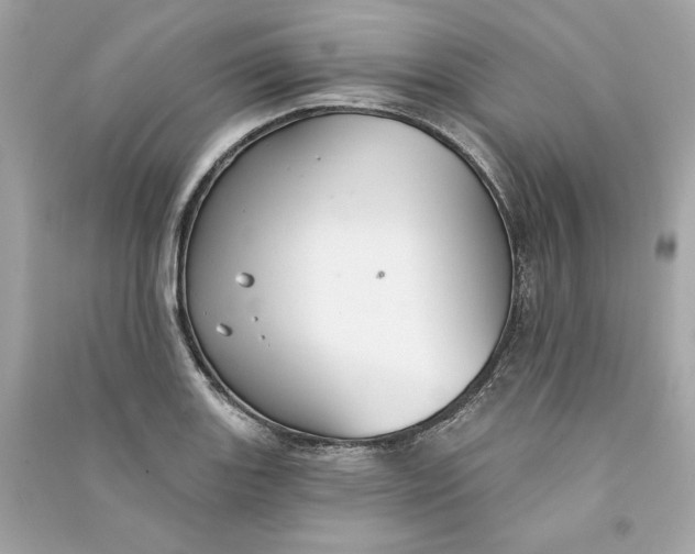 X0000090771131200708101804