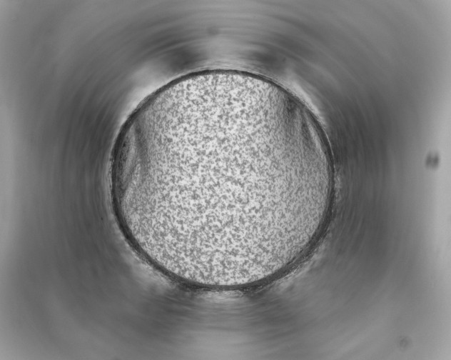 X0000090771133200708101804