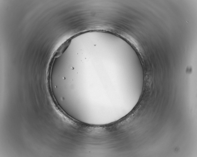 X0000090771135200708101804