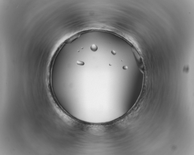 X0000090771136200708101804