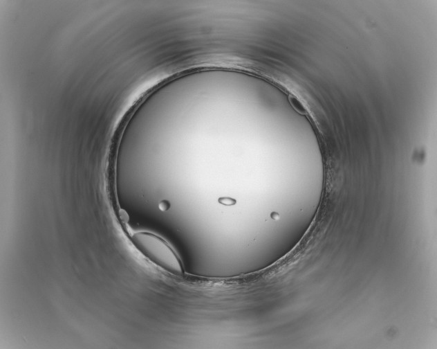 X0000090771139200708101804