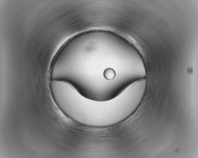 X0000090771140200708101804