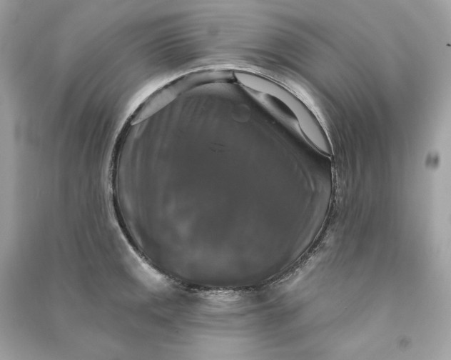 X0000090771141200708101804