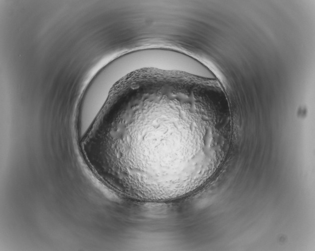 X0000090771142200708101804