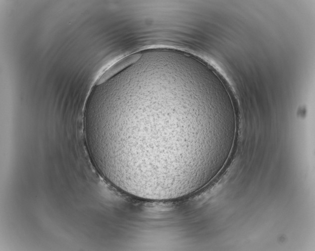 X0000090771145200708101804
