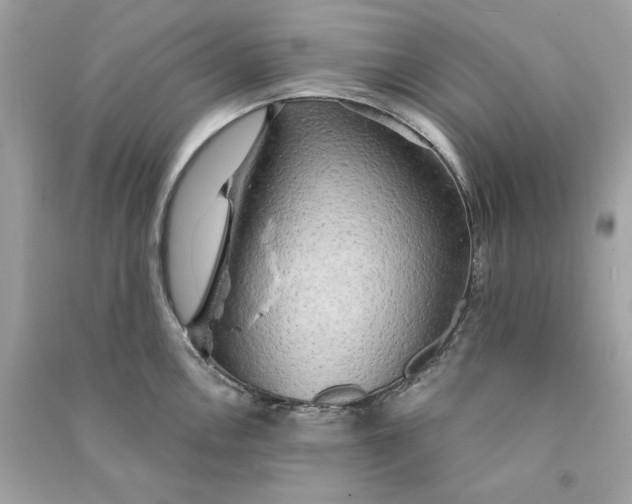 X0000090771146200708101804