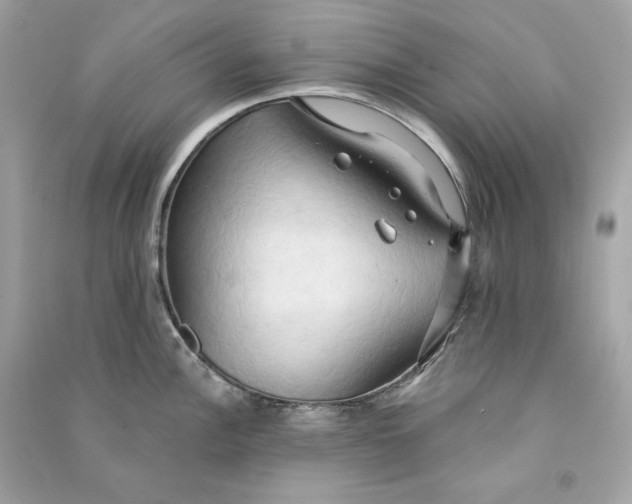 X0000090771148200708101804