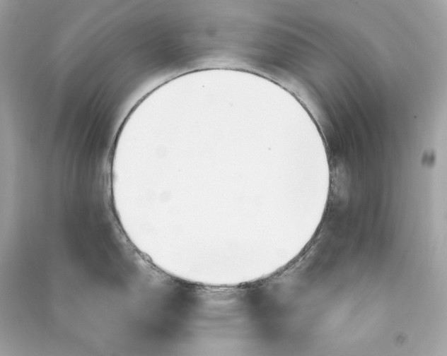 X0000090771150200708101804