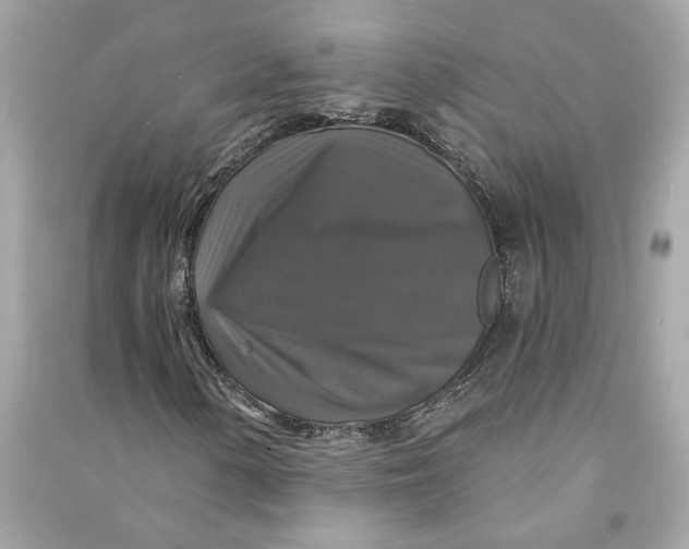X0000090771154200708101804