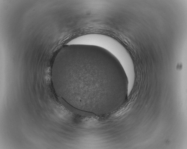 X0000090771156200708101804