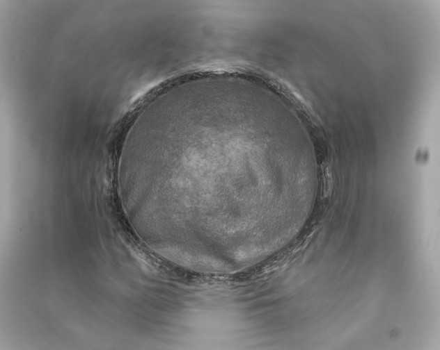 X0000090771158200708101804