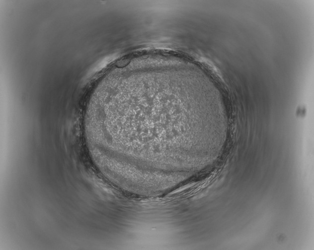 X0000090771159200708101804