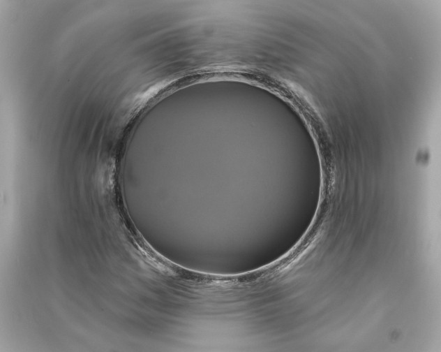 X0000090771161200708101804