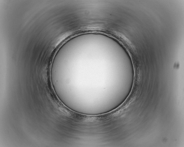 X0000090771162200708101804