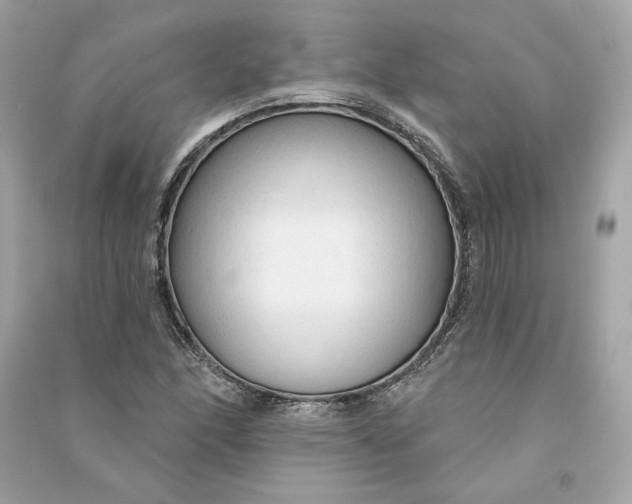 X0000090771166200708101804