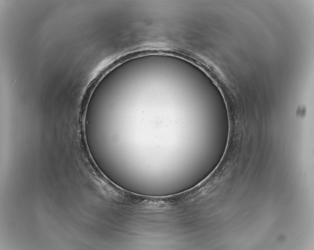 X0000090771168200708101804