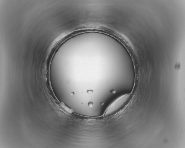 X0000090771172200708101803