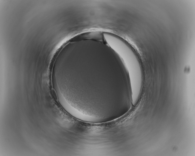 X0000090771173200708101803