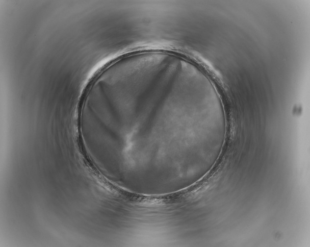 X0000090771174200708101803