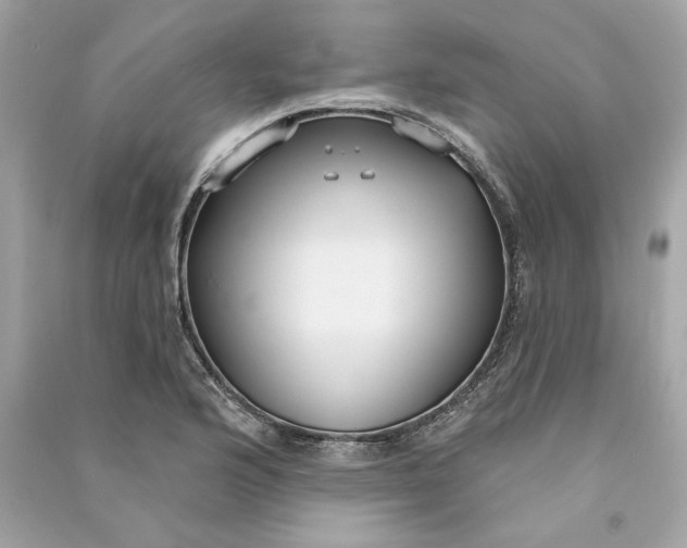 X0000090771176200708101803