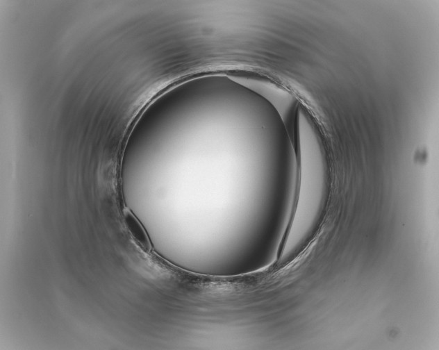 X0000090771177200708101803