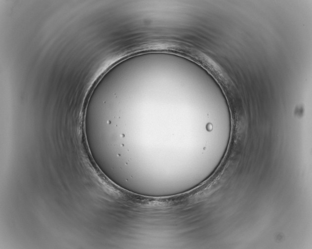 X0000090771178200708101803