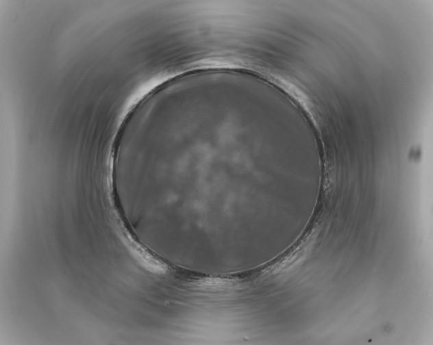 X0000090771179200708101803