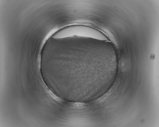 X0000090771180200708101803