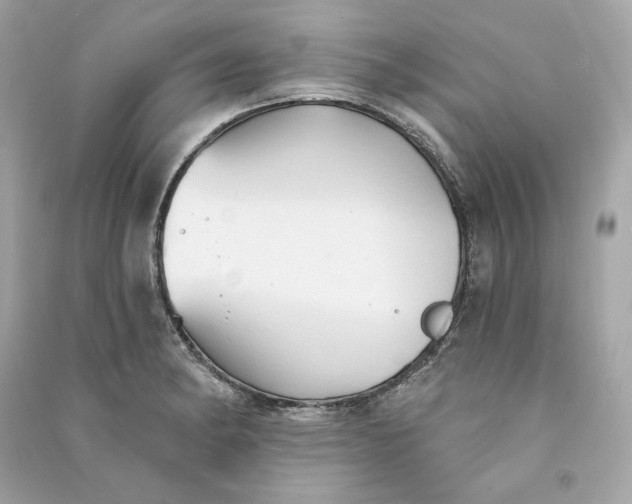 X0000090771182200708101803