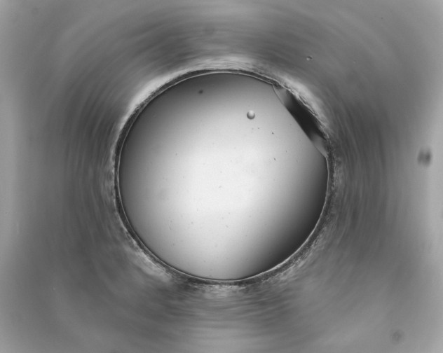 X0000090771184200708101803