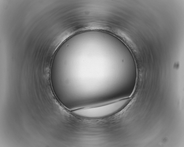 X0000090771185200708101803