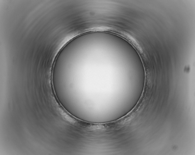 X0000090771186200708101803