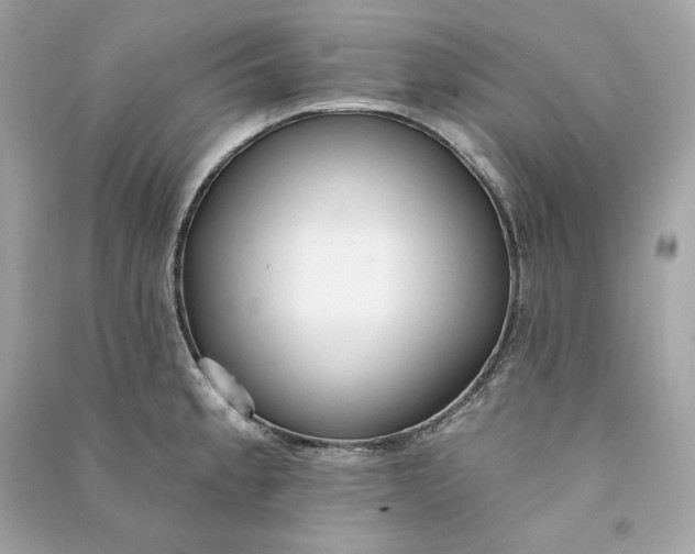 X0000090771189200708101803