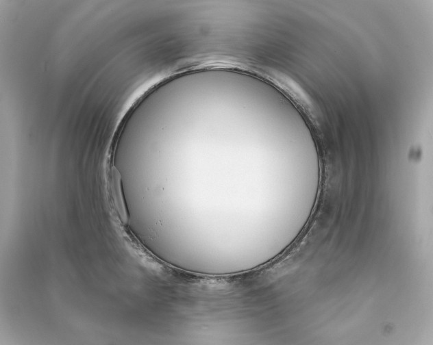 X0000090771190200708101803