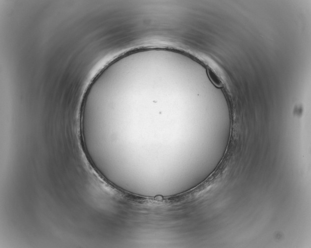 X0000090771191200708101803