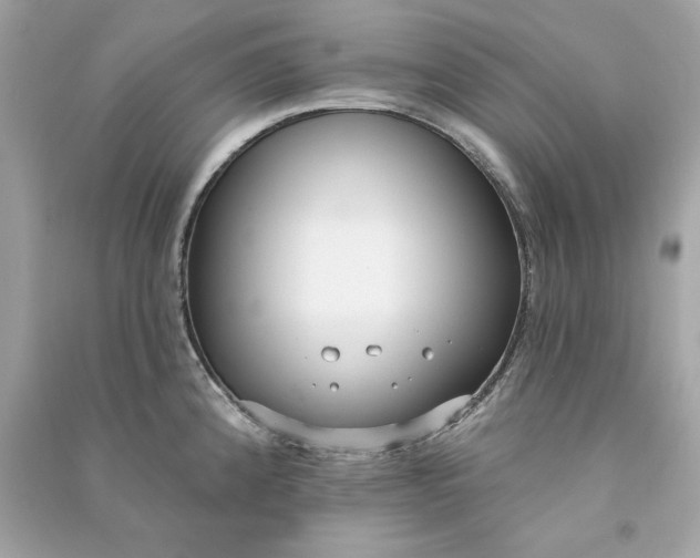 X0000090771192200708101803