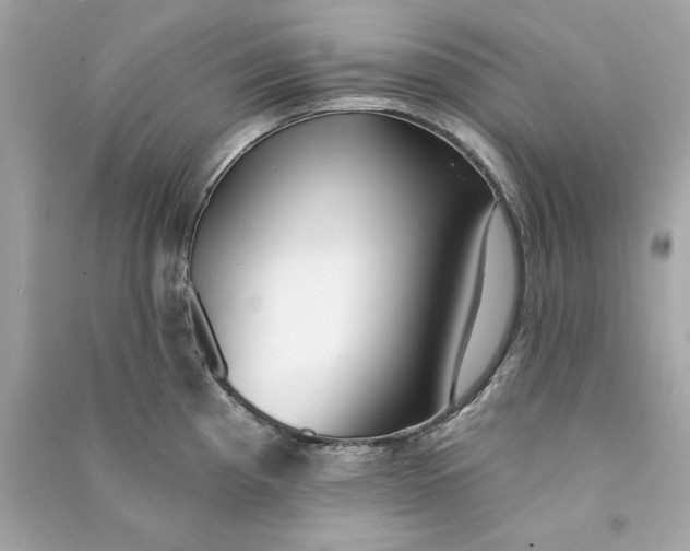 X0000090771193200708101803