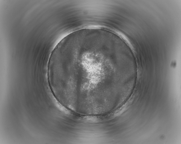 X0000090771194200708101803