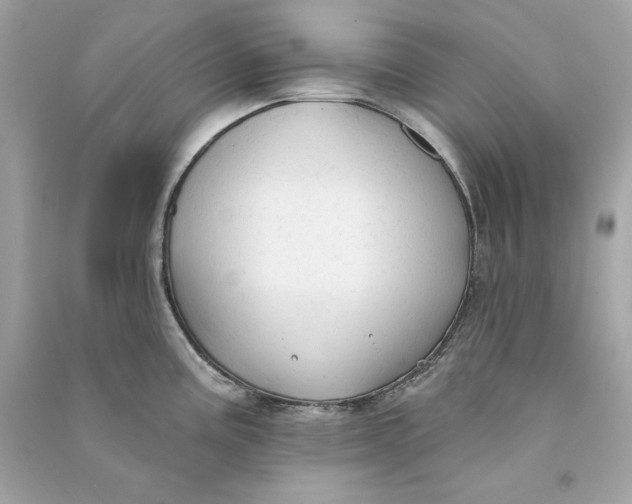 X0000090771195200708101803