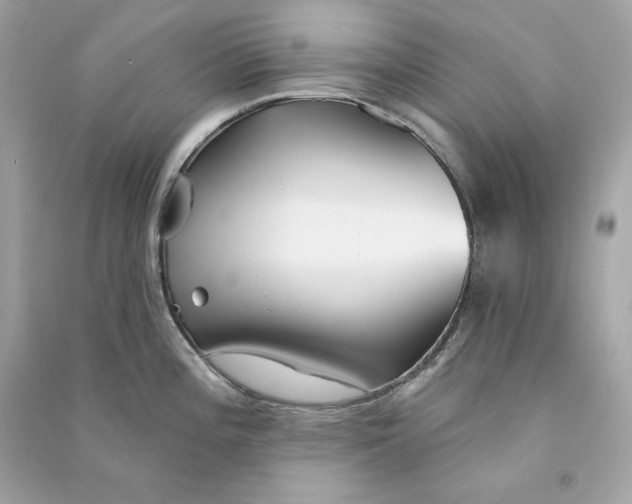 X0000090771196200708101803
