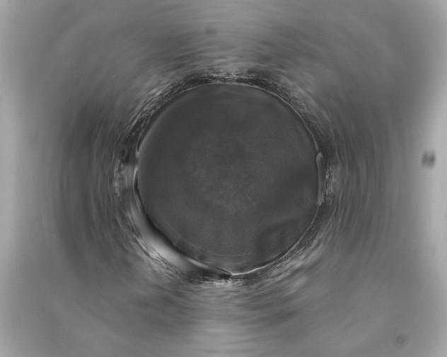 X0000090771202200708101802