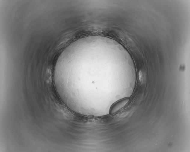 X0000090771203200708101802