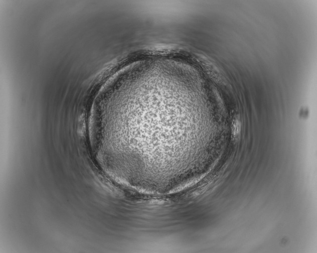 X0000090771204200708101802