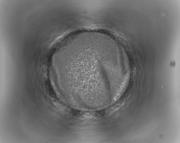 X0000090771205200708101802